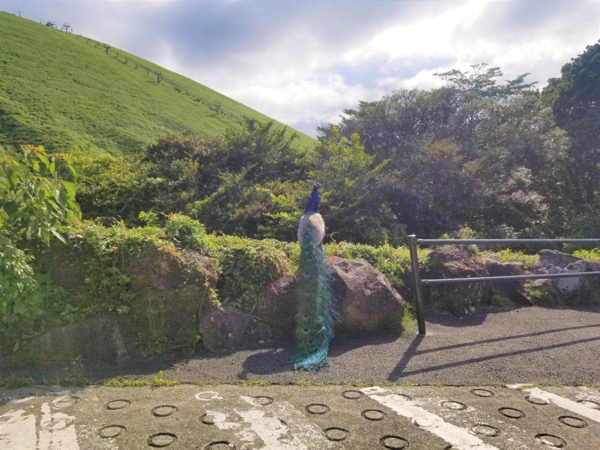 Smart Stay Omuroyama 3Goume - Vacation Stay 61385V 伊東市 エクステリア 写真